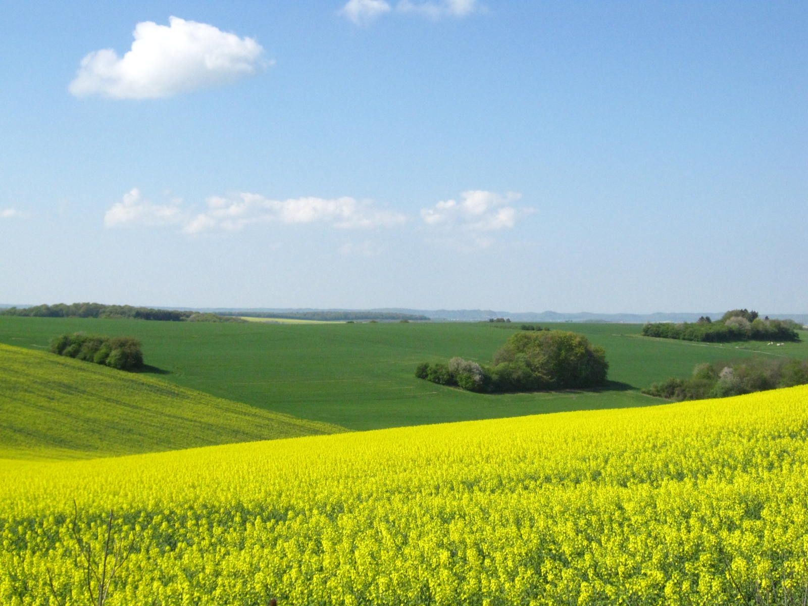 Belle campagne