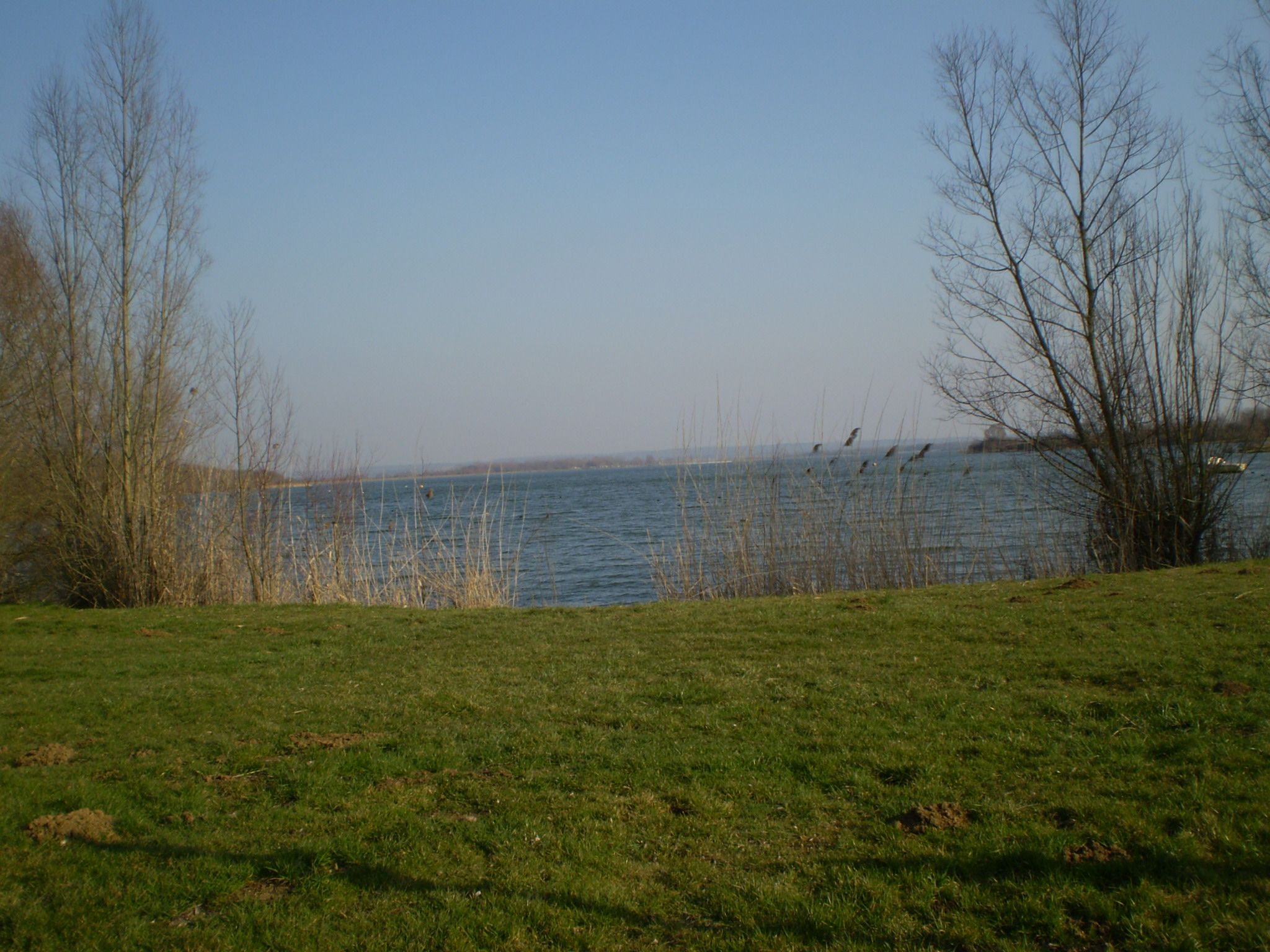 Le lac de Madine